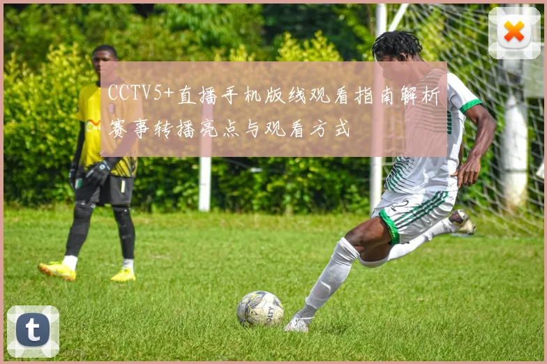 CCTV5+直播手机版线观看指南解析赛事转播亮点与观看方式